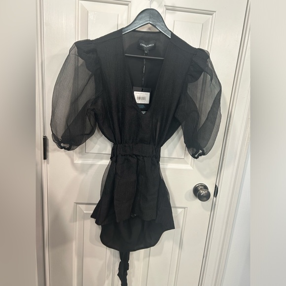 Cynthia Rowley New With Tags Attached Gracie Organza Top in a Size Large - Picture 16 of 16